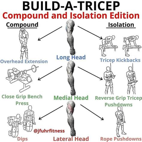 Peter O Reilly Frcms Pt 🇮🇪 On Instagram “build A Tricep Variaton Tag
