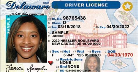 Pin On Drivers Licenses