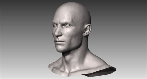 Realistic White Male And Female Head Bundle 3d Model Cgtrader