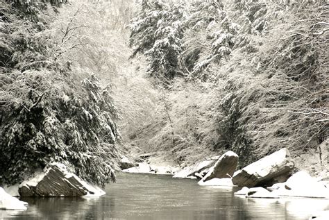 Cold Creek Through Snowy Woods Free Stock Photo Public Domain Pictures