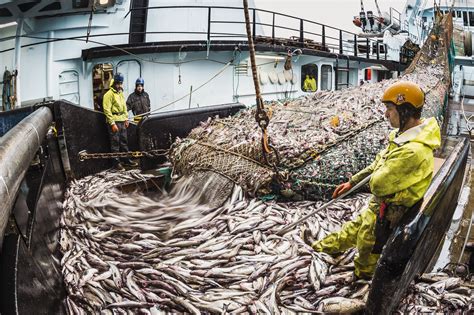 Alaska Magazine | An inside look at Alaskan fisheries