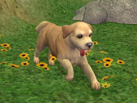 Mod The Sims Golden Retriever