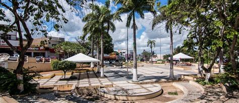 tudo sobre o município de palmeira dos Índios estado de alagoas cidades do meu brasil