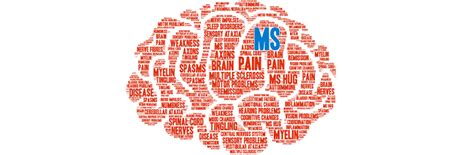 Multiple sclerosis can cause a variety of symptoms: What Is Multiple Sclerosis? Symptoms, Signs and Treatments ...
