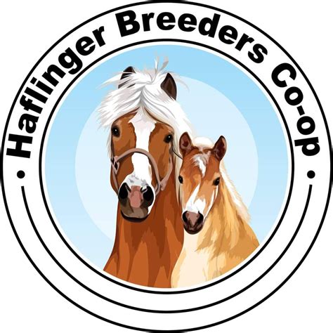 Verena Hof Rs Haflinger Breeders Cooperative