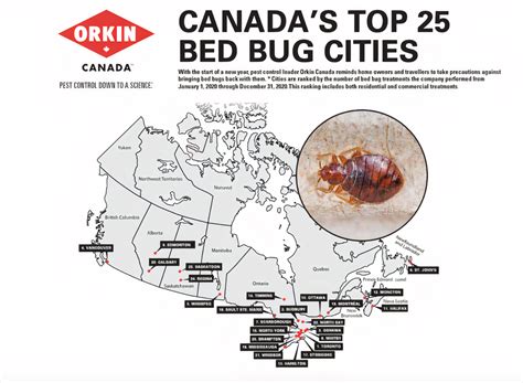 Toronto Ranks As The Worst City In Canada For Bed Bugs In 2020
