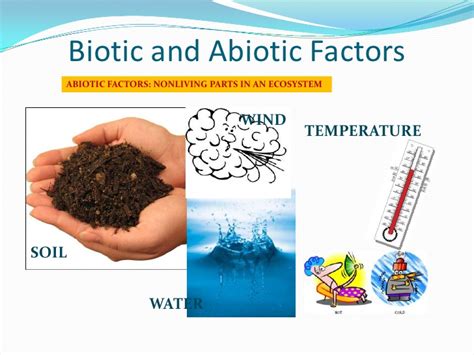 Biotic factors biotic factors are all the biological conditions of an environment for a specie/taxa. Ecosystems biotic and abiotic factors