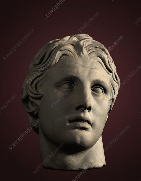 Head Of Alexander The Great Stock Image C0287960 Science Photo