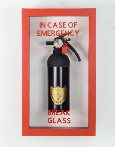 In Case Of Emergency Break Glass Champagne Fire Tumbex