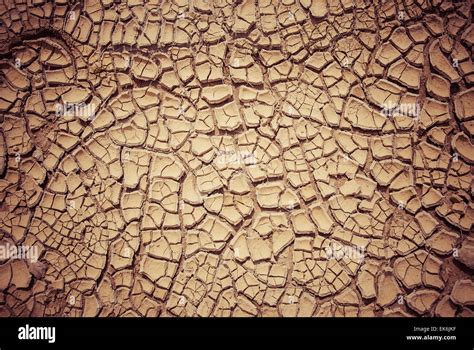 Dried Mud Texture Due To Desertification Stock Photo Alamy
