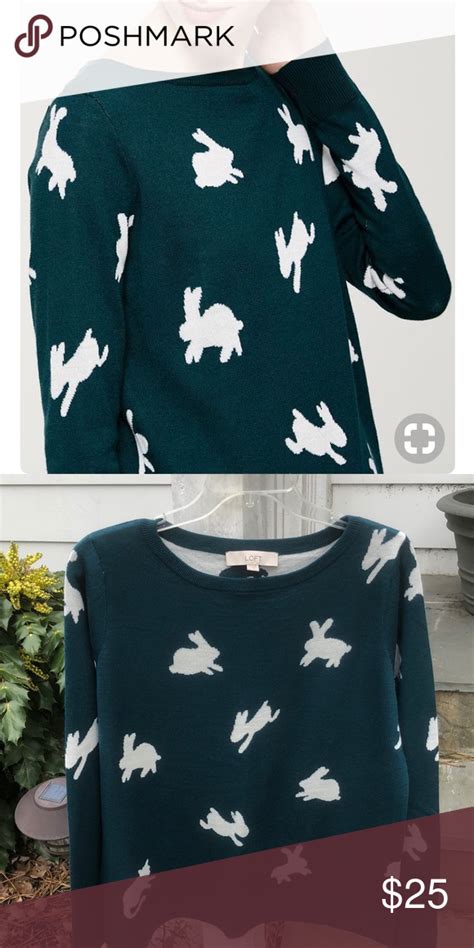 Ann Taylor Loft Bunny Rabbit Sweater Fashion Sweaters Clothes Design
