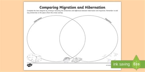 Venn Diagram Hibernation And Migration Worksheet Twinkl