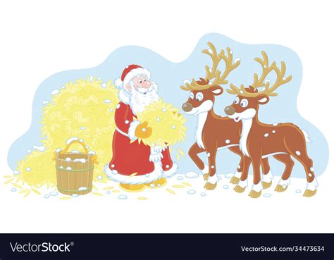 santa claus feeding his reindeer with hay vector image