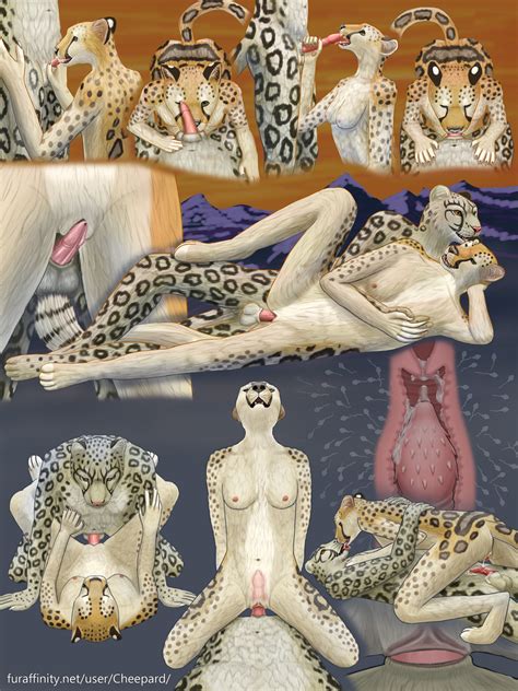 Rule 34 Anthro Cheepard Cheetah Feline Fellatio Fur Furry Leopard Mia Oral Oral Sex Penis