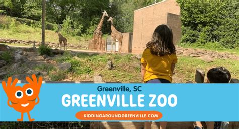 Greenville Zoo The Complete Guide For Parents