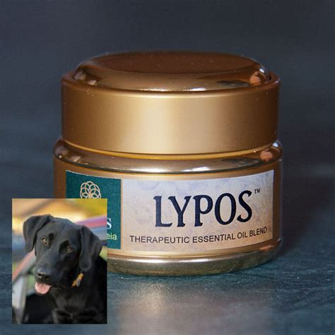 Lipoma Treatment For Dogs Lypos™ For Dogs