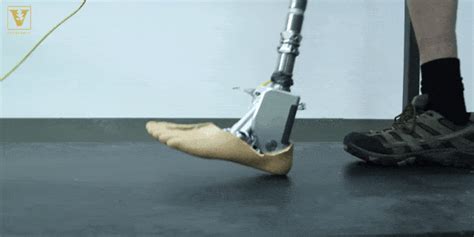 New Prosthetic Foot Adapts To Rough Terrain