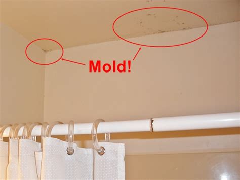 What causes black streaks on walls and ceilings? Removal of Black Mold in Bathroom Drywall