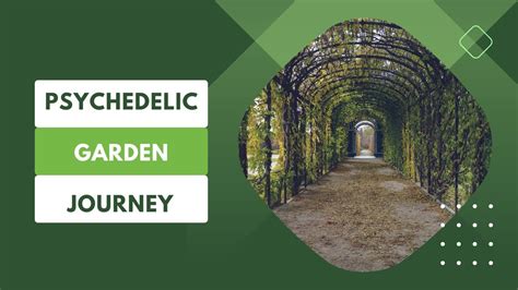 Psychedelic Garden Journey Youtube