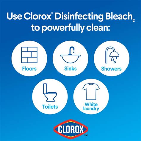 Clorox Performance Bleach Value Pack 3 X 357 L 3 X 121 Oz —