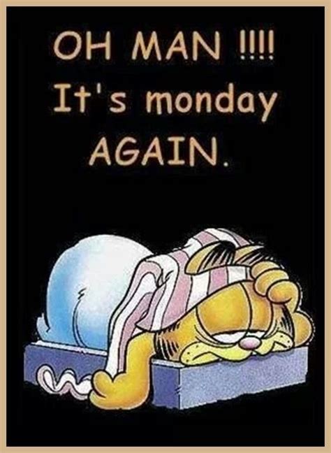 Pin By Catherine Julian On Mondays Monday Humor Garfield Quotes