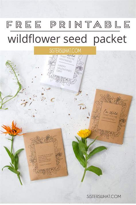 Wildflower Seed Packet Printable T Idea Sisters What