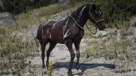 Red Dead Redemption 2 Wild Horse Breeds Locations Gui