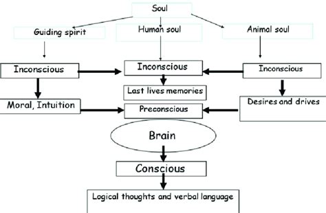 The Relationship Between The Three Parts Of The Soul And Three Types Of