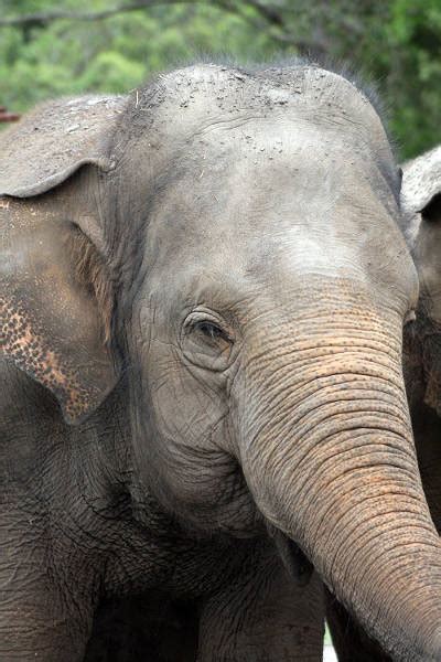 This is taman negeri endau rompin by anthony quek on vimeo, the home for high quality videos and the people who love them. Camping Taman Negara Endau-Rompin, Malaysia