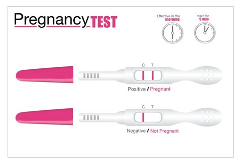 Negative Pregnancy Test But No Period Know The Causes