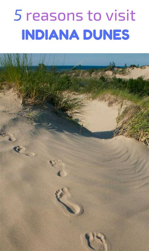 Best Outdoor Activities To Do At The Indiana Dunes Top Travel