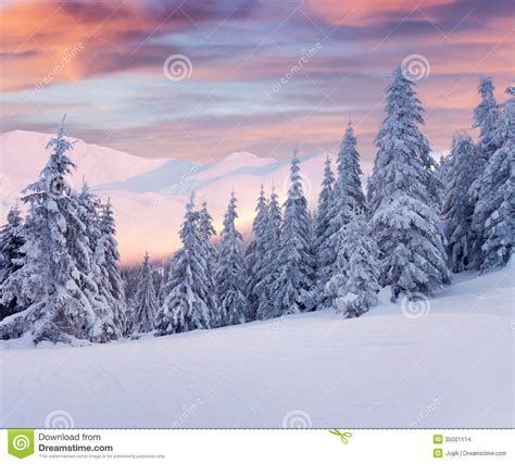 Beautiful Winter Landscape In Mountains Sunrise Stock