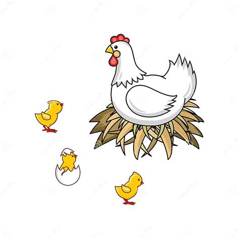 Vector Flat Hand Drawn Chicken In Nest Chicks Set Stock Vector