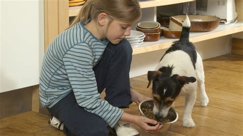 Newsela The Importance Of Teaching Kids To Be Kind To Pets