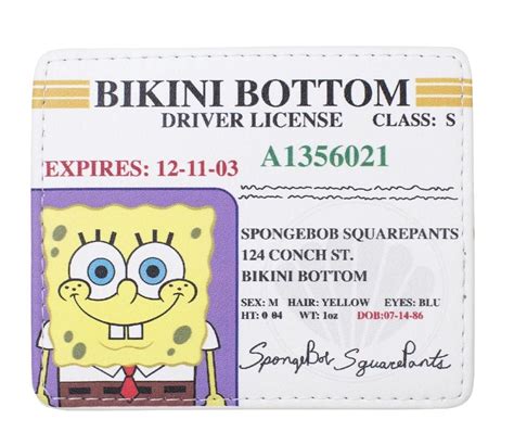 Spongebob Drivers License Card Holder Spongebob Spongebob Squarepants Cards