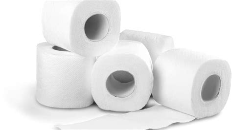 What Is The Best Toilet Paper For Rv Use 5 Answers Rv Lifestyle