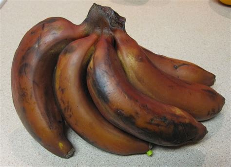 Cannundrums Red Banana