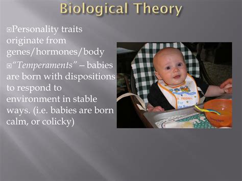 Ppt Elements Of Personality Biological Theory Powerpoint