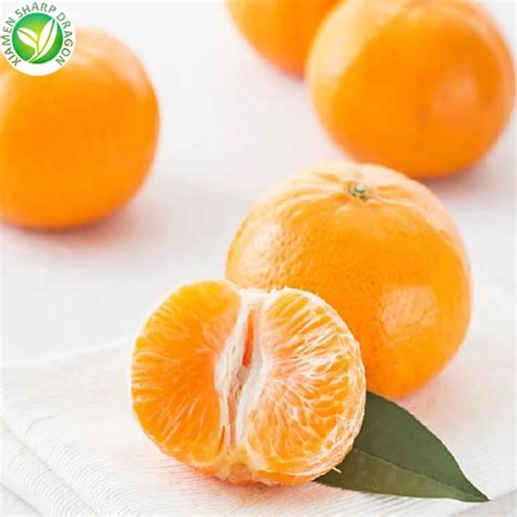 Chinese Bulk Fresh Mandarin Oranges In Price Buy Mandarin Oranges