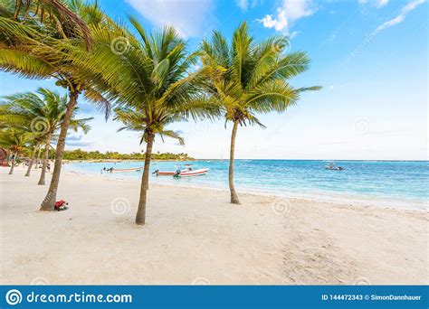 Beautiful White Sand Beach In Akumal Mexico Paradise Bay Beach In Quintana Roo Caribbean