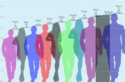 Height Comparison Chart An Online Tool
