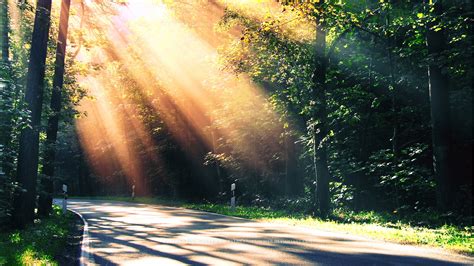 Paradise Path Wallpapers | HD Wallpapers | ID #11600