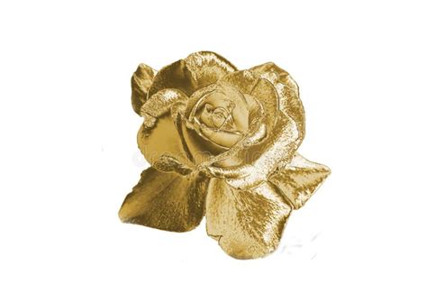 Gold Rose Stock Image Image Of Closeup Bouquet Roses 96026557