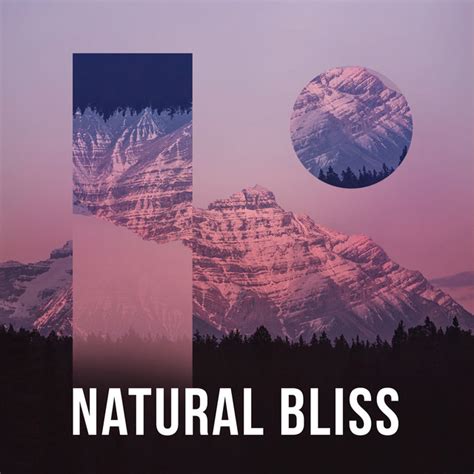 Natural Bliss Album By Outside Broadcast Recordings Spotify