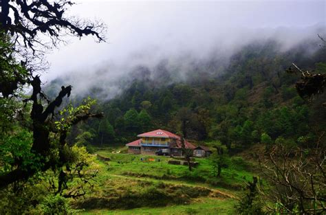 A Forest Guest House Just Covering By Cloud Smithsonian Photo Contest