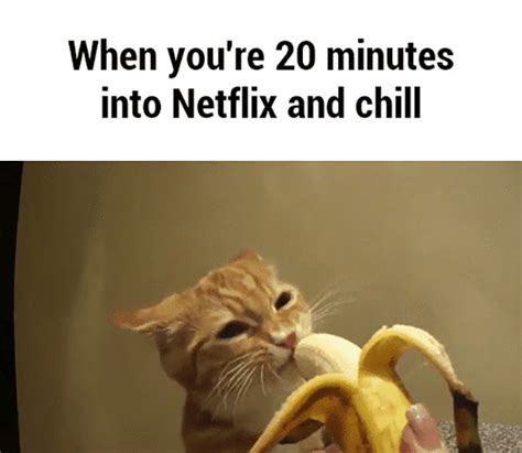 The Best Netflix And Chill Memes Craveonline
