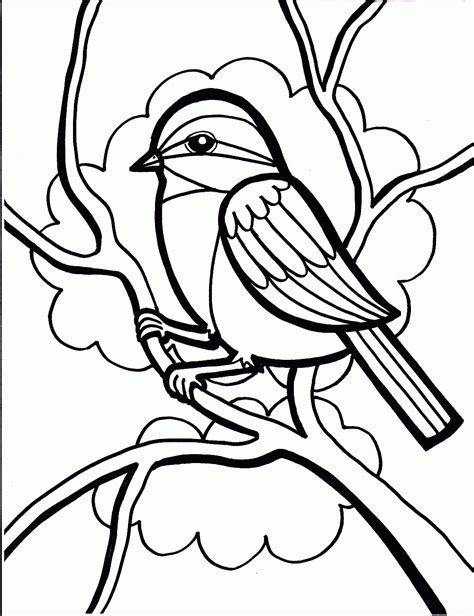 BIRDS COLORING PAGES | Coloring Pages Printable
