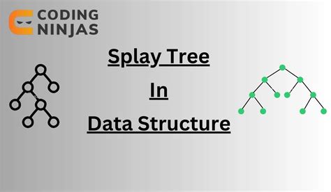 Splay Tree In Data Structure Coding Ninjas