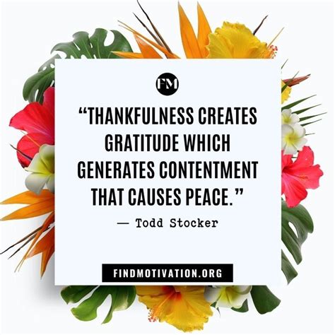 22 Thankfulness Quotes To Express Gratitude Thankful Quotes