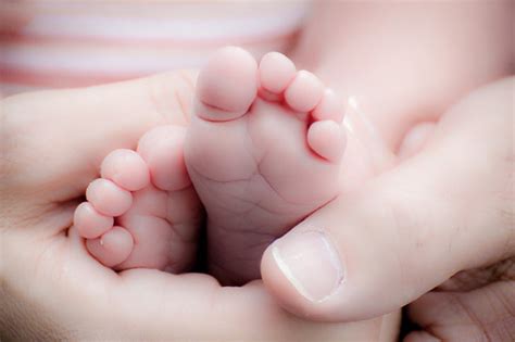 Free Photo Baby Feet Baby Feet Ten Small Reborn Infant Hippopx